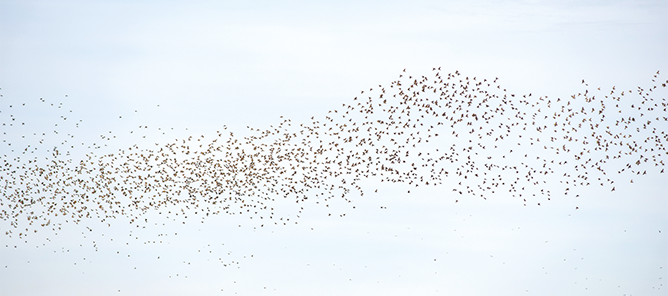 Foto: Adobe Stock/bios48 Foto: Adobe Stock/bios48