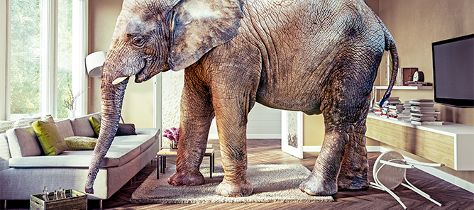 Foto: Adobe Stock/Victor Zastol‘skiy