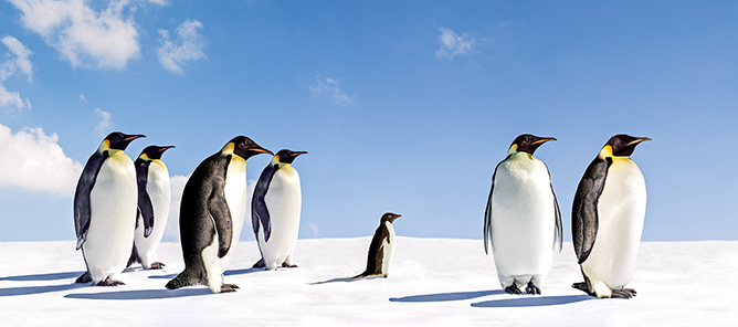 Foto: Adobe Stock/Jan Will
